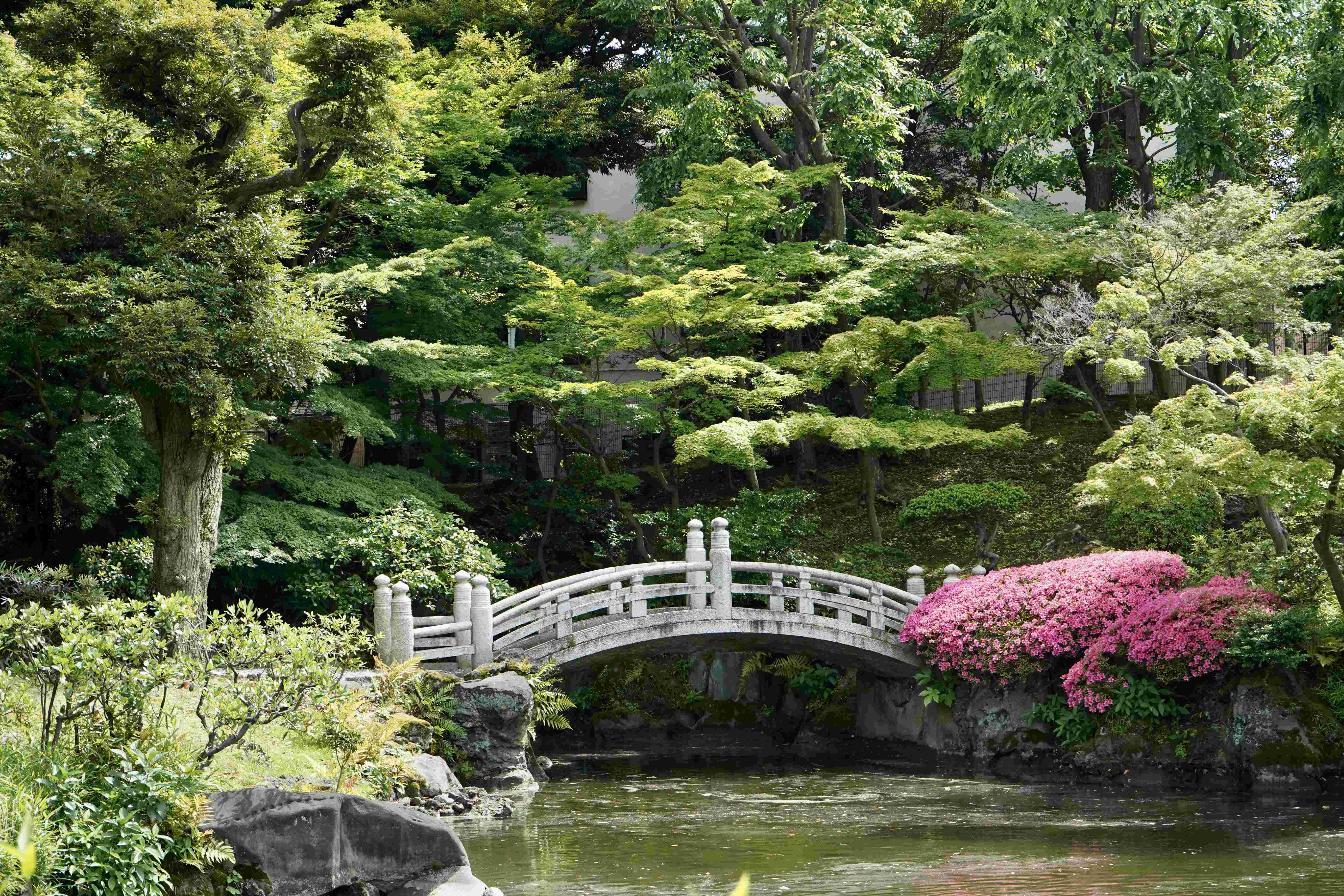 🌳 구 야스다 정원(규 야스다 테이엔) 이미지 6